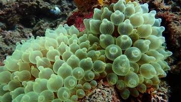 施設の敷地 / 14