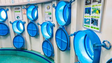 ブセナ海中公園 / 5