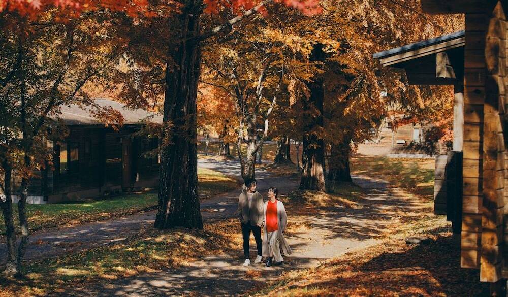 夜空の星を眺めつつ
温泉でホッと一息 / 1