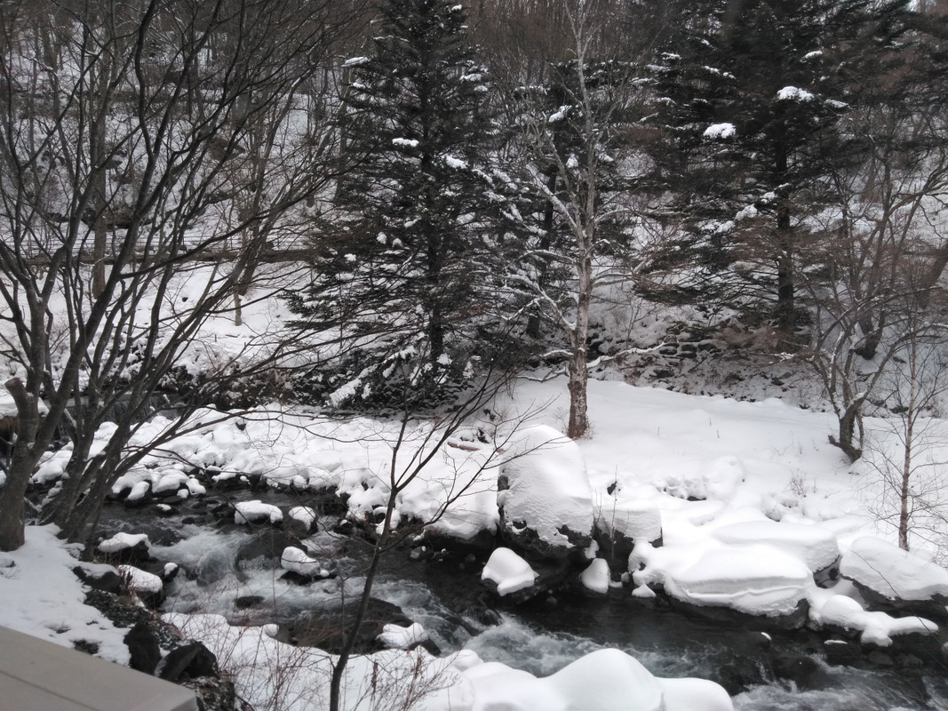 清涼館スタンダードツインからの渓流の眺めです。