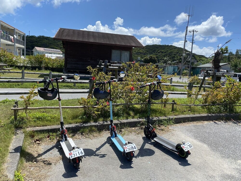 エコツアー