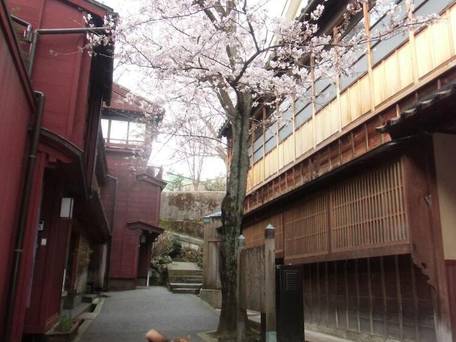 金澤町家シェアハウスGAOoo / 2