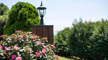 施設の敷地 / 19