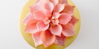 お花みたいなスイーツ♡ギフトにしたい東京のスイーツ6選