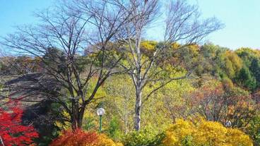 施設からの眺望 / 25