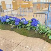 東横イン京都五条烏丸（京都府 ビジネスホテル） / 3