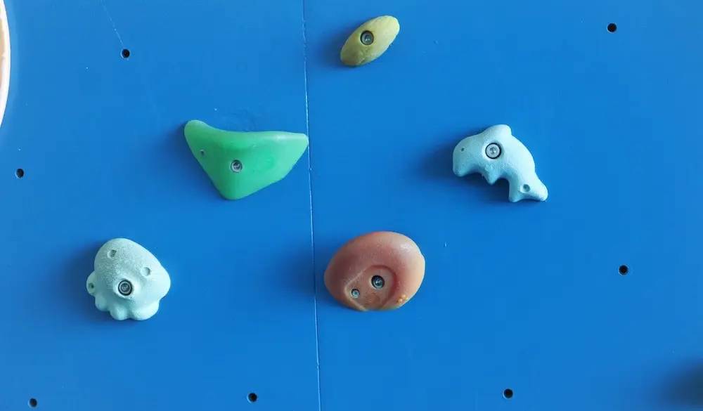 アクティビティラウンジのクライミングウォールは、ホールド部分のモチーフが海の生き物に!かわいくてテンションアップ♡