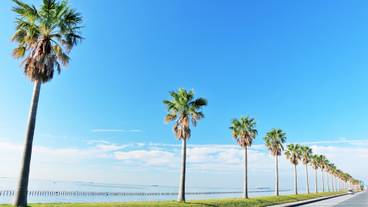 海外のような「千葉フォルニア」 / 2