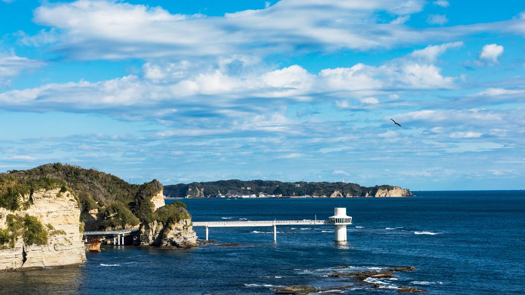 水深8mの海中を観察
「かつうら海中公園」 / 1