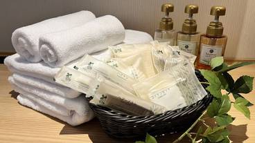 客室の設備とサービス / 31