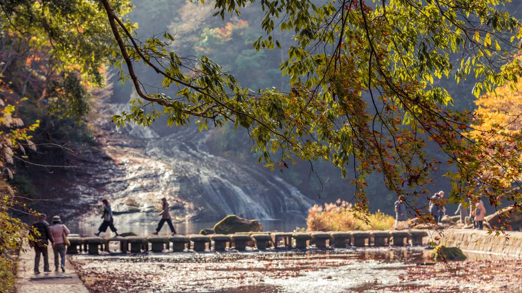 「養老渓谷」を
のんびり散策 / 2