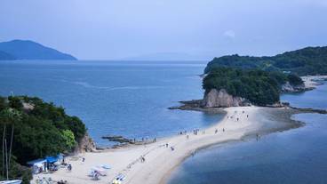 施設からの眺望 / 14