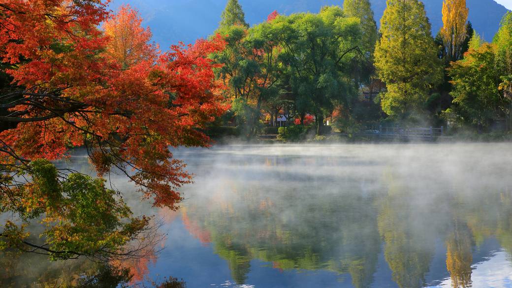 金鱗湖 紅葉 / 2