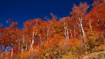 施設の敷地 / 10