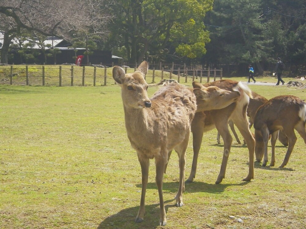 施設からの眺望