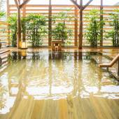 鬼怒川温泉 山楽（栃木県 旅館） / 2