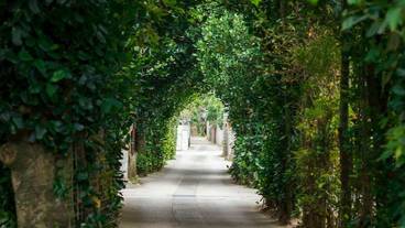 ランド ビュー / 5