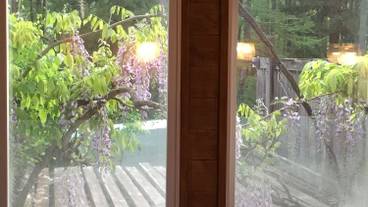 部屋からの景観 / 9