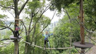 ロープ コース (チーム ビルディング用) / 10