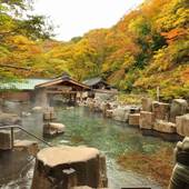 宝川温泉汪泉閣（群馬県 旅館） / 2