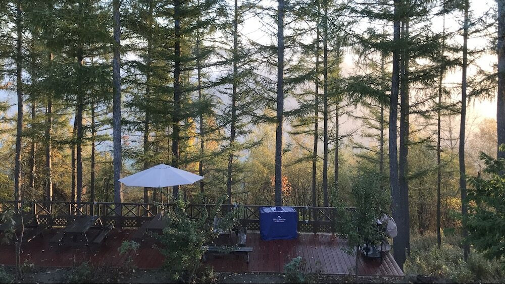 テラス / パティオ