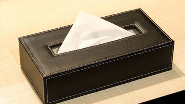 客室の設備とサービス / 31