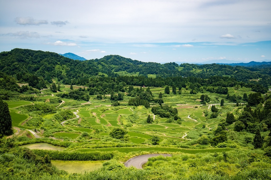 3. 一度見たら忘れられない！二人の思い出に残る田園風景「星峠の棚田」1737418