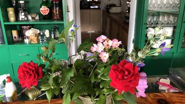 レストラン / 19