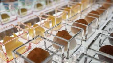 レストラン / 27