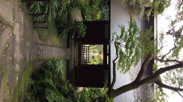 観光スポット / 21