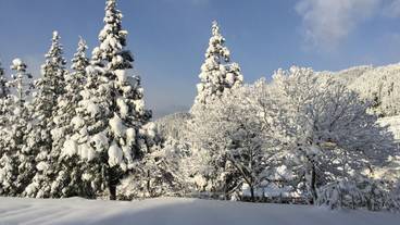 施設からの眺望 / 24