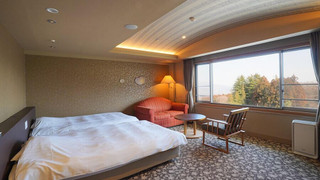 2015春リニューアル DXツイン 禁煙室