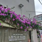 クラウンホテル沖縄（沖縄県 ビジネスホテル） / 5