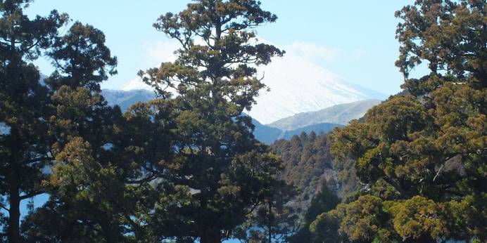 華の宿 ふくや(神奈川県 旅館) / 1