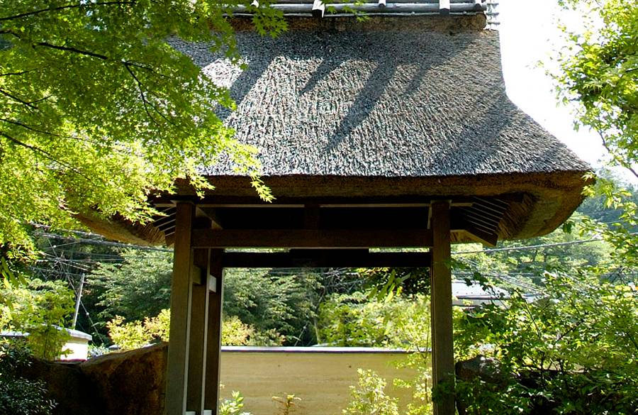 カフェや売店で
出発前の思い出作り / 4