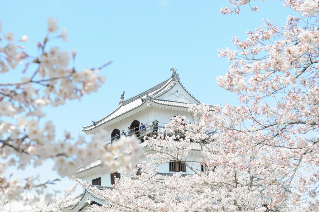 10.白石城1559310