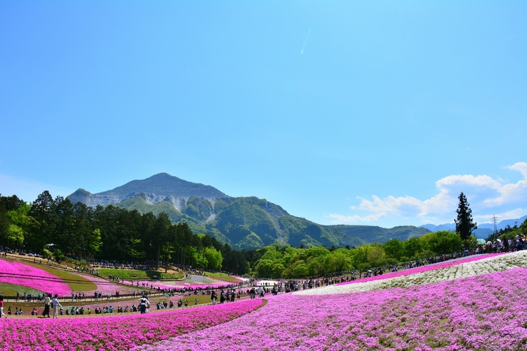 自然がいっぱい秩父・長瀞で遊び尽くそう1006676