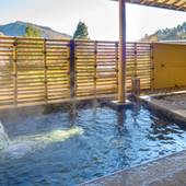 昼神温泉 四季の織 はなや（長野県 旅館） / 2