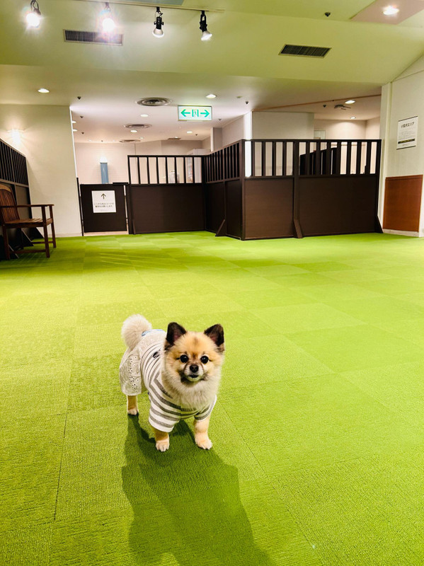 k_chirashi_さんの写真 / 2