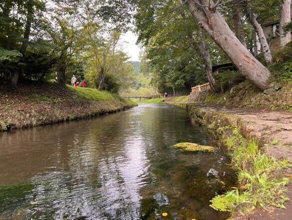 aoyuuzさんの写真 / 6