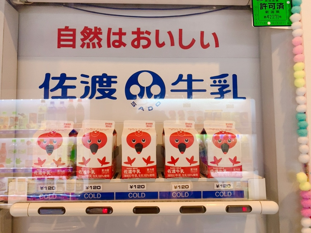 佐渡牛乳の自販機あり
