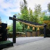 秘境 白川源泉 山荘 竹ふえ（熊本県 旅館） / 4