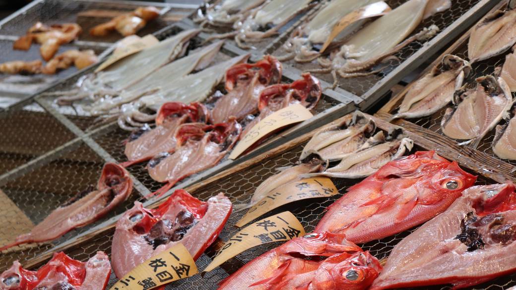 ワクワクがいっぱい
熱海で‟美味しいもの”探し / 3