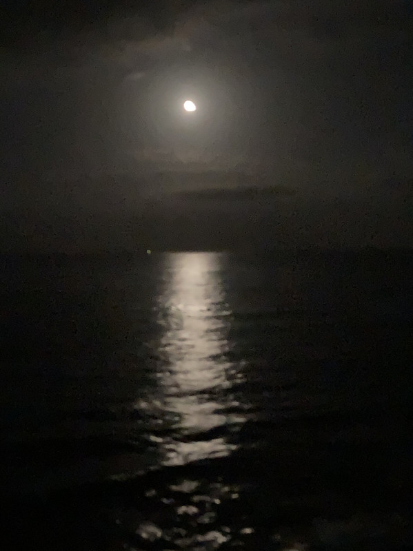 部屋から見た月夜