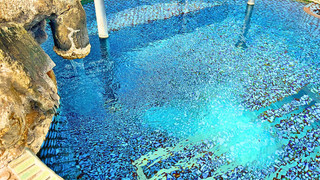 屋上露天風呂付き特別室