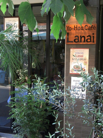 「YO-HO's cafe Lanai」外観 798469 自然いっぱいのハワイのイメージの通り緑に囲まれた看板