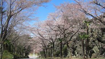 施設の敷地 / 11