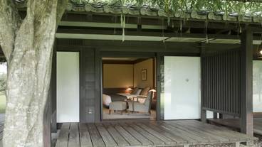 テラス / パティオ / 11