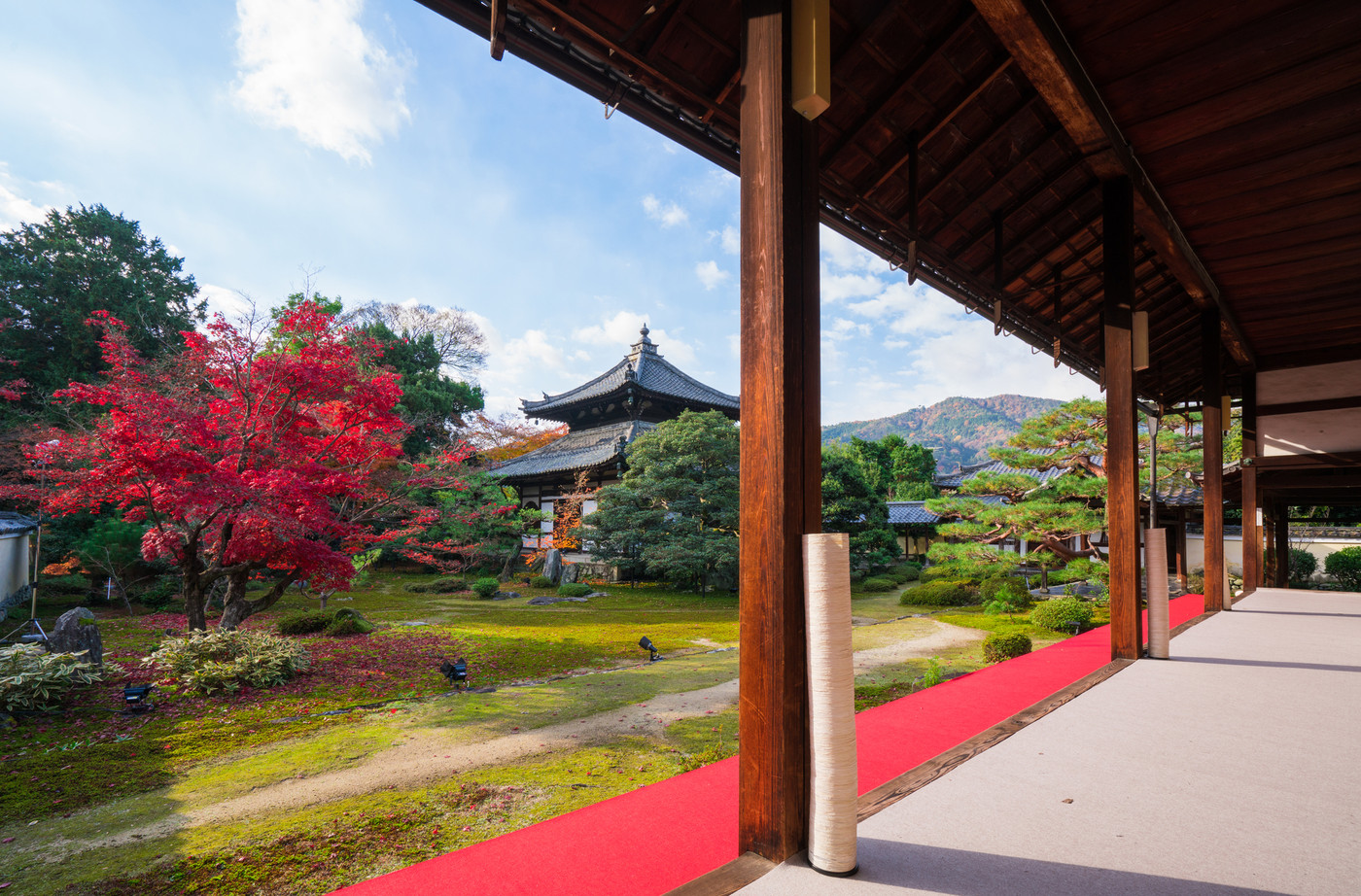 京都府3403181