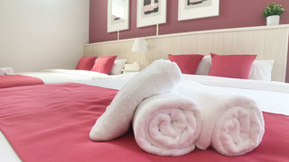 ダブルルーム ダブルベッド2台付 203号室 禁煙(ソファベッド用の寝具は部屋に常備していない為 事前にリクエストが必要)